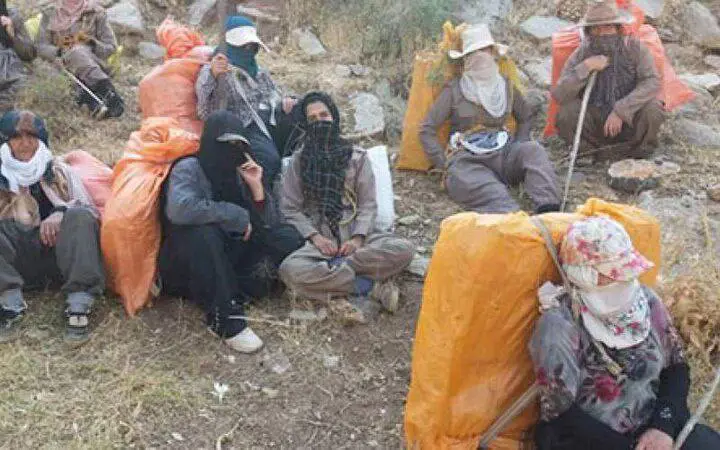 کوژرانی ژنێکی کۆلبەر بە تەقەی ڕاستەوخۆی چەکدارەکانی ئێران