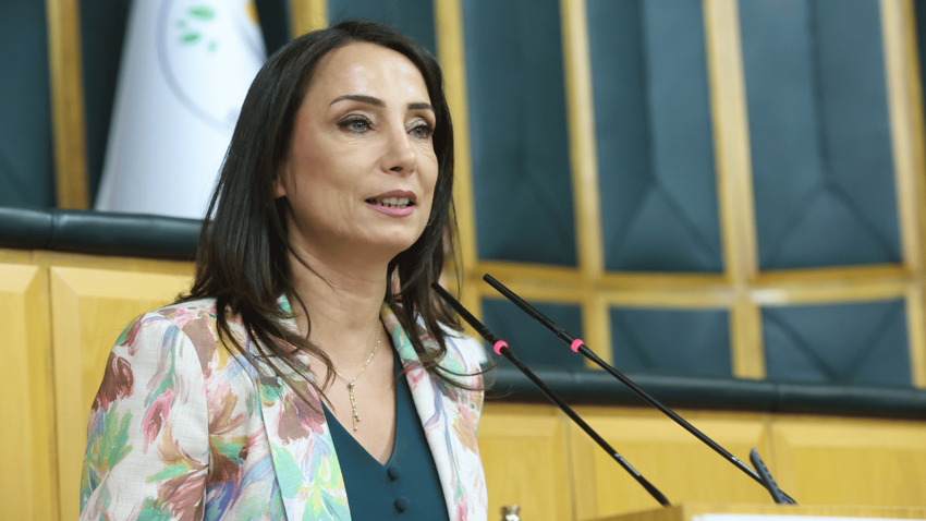 ‘Rojava’daki Kürtlere mizrak, Türkiye’deki Kürtlere zeytin dali uzatmak olmaz’