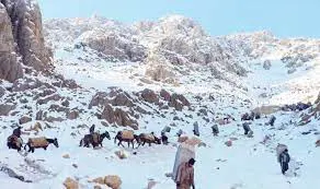 چوار کۆڵبەر لە سنوورەکانی ڕۆژهەڵاتی کوردستان بریندار کران