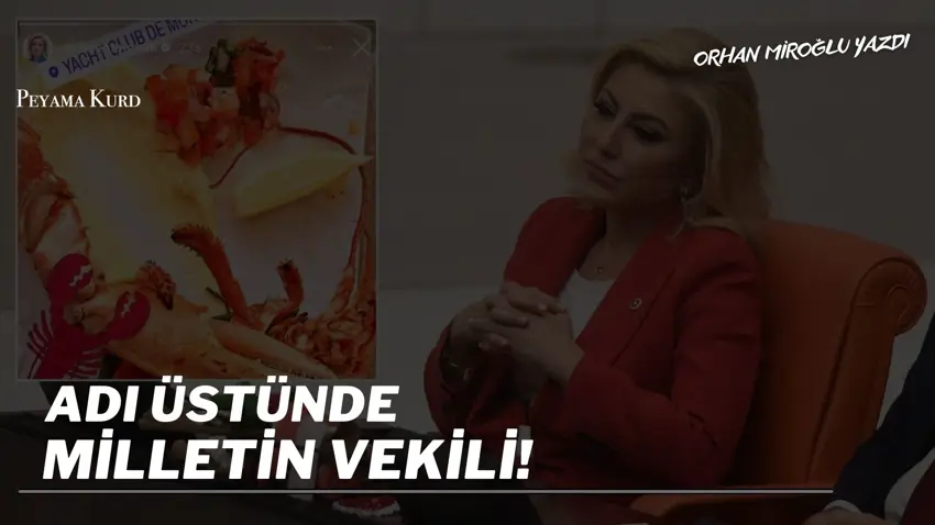 Orhan Miroglu: "Milletvekilligi hiçbir meslek grubuyla esdeger degildir"