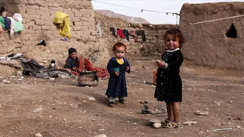 FAO: Li cîhanê rêjeya birçûbûnê her ku diçe zêde dibe