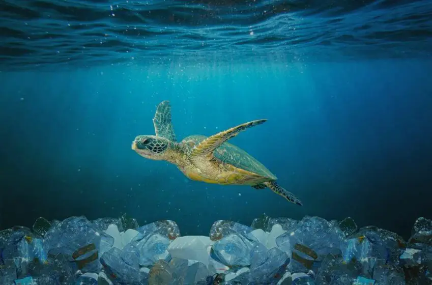 نزیکەی یەک بارهەڵگر پڕ لە پاشماوەی پلاستیکی لە هەر خولەکێکدا دەچێتە ناو زەریاکانەوە