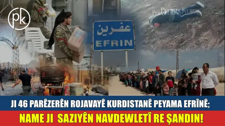 46 mafnasên Kurd ji bo Efrînê bang li raya gistî ya cîhanê kirin