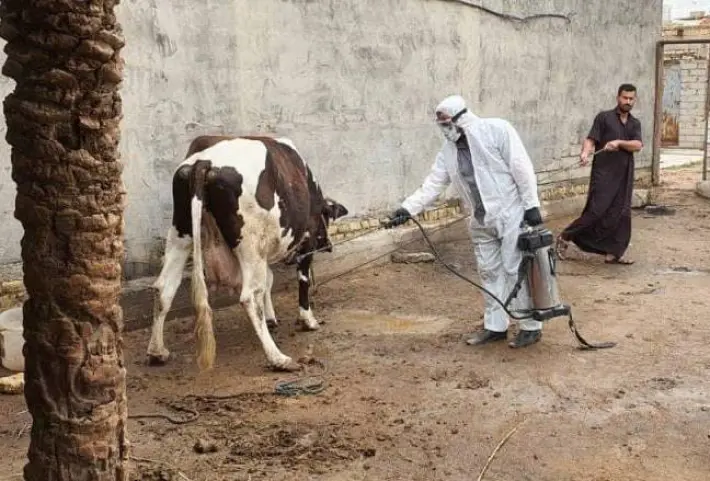 پێنج کەس لە عێراق بە تای خوێنبەربوون گیانیان لە دەستداوە