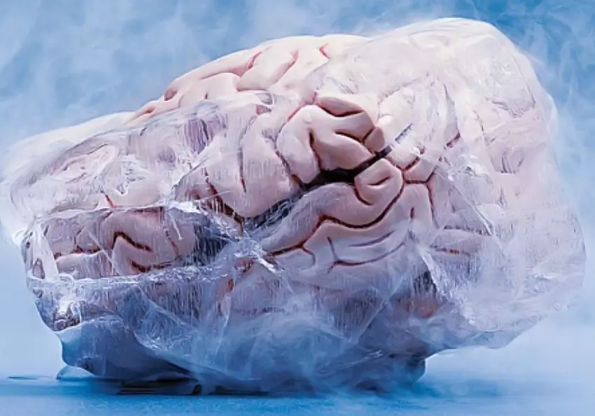 توێژەرانی چینی مێشکی بەستووی مرۆڤیان زیندووکردەوە