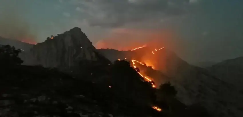زیاتر لە ٢٠٠ هێكتار لە دارستانەكانی كوردستان لە ئاگردا سووتان