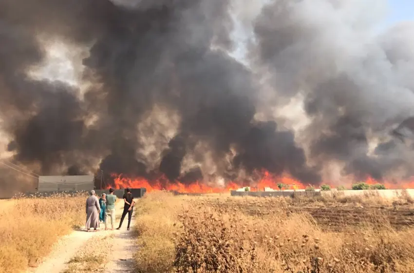 Rojava | 2 hezar 443 hektar erdên çandiniyê sewitîn
