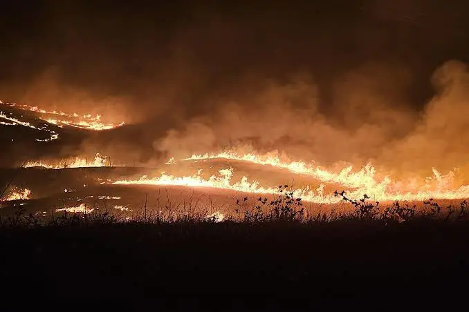 DEDAS'tan Diyarbakir ve Mardin yanginlarina yönelik açiklama