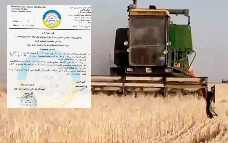 Rêveberiya Rojava bihayê kirîna cehê cotkaran diyar kir