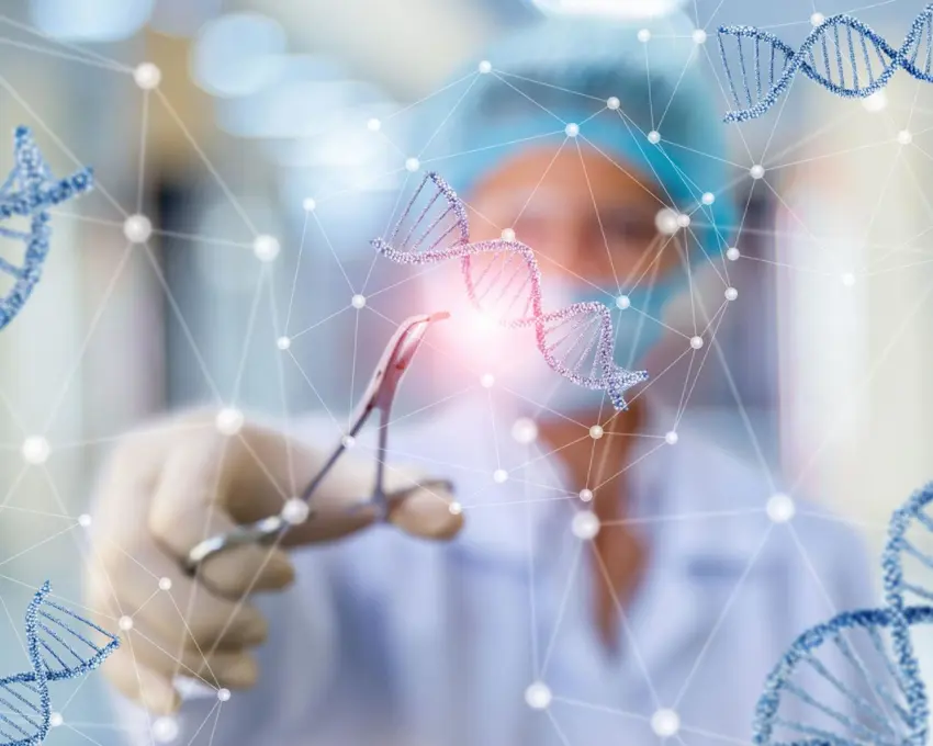 بۆ یەکەم جار زاناکان مشکیان بەخێو کردووە کە سیستەمی بەرگری لەشیان هاوشێوەی مرۆڤە