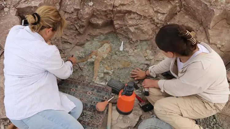 Dünya yasam tarihi yeniden yazilacak! 2.1 milyar yil öncesine ait fosil bulundu!