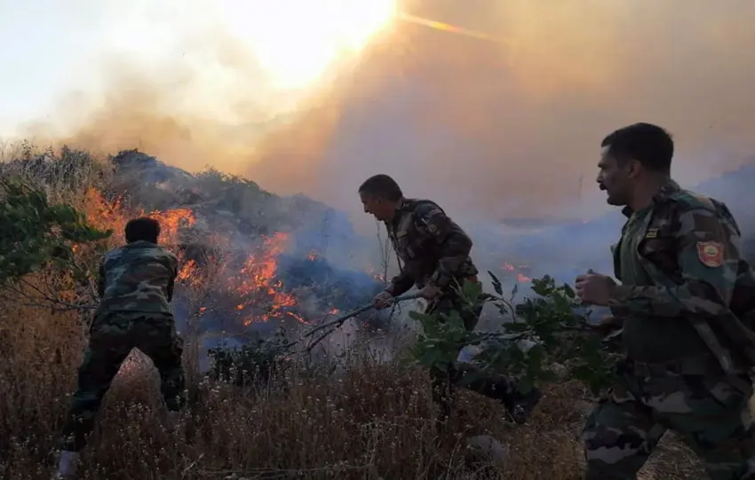 Tîmeke Pêsmerge agirê daristanê tefand