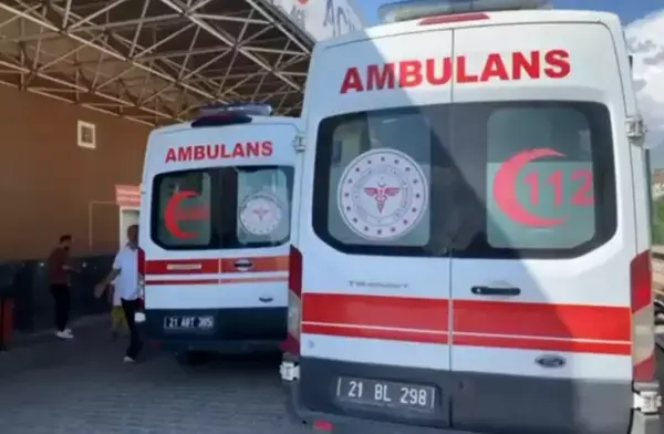 Li Erxeniyê kurekî li bavê xwe xist û kust