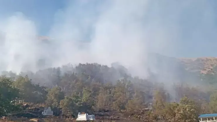 Li Dêrsimê ji bo agirê daristanê vemirînin xebat dewam dike