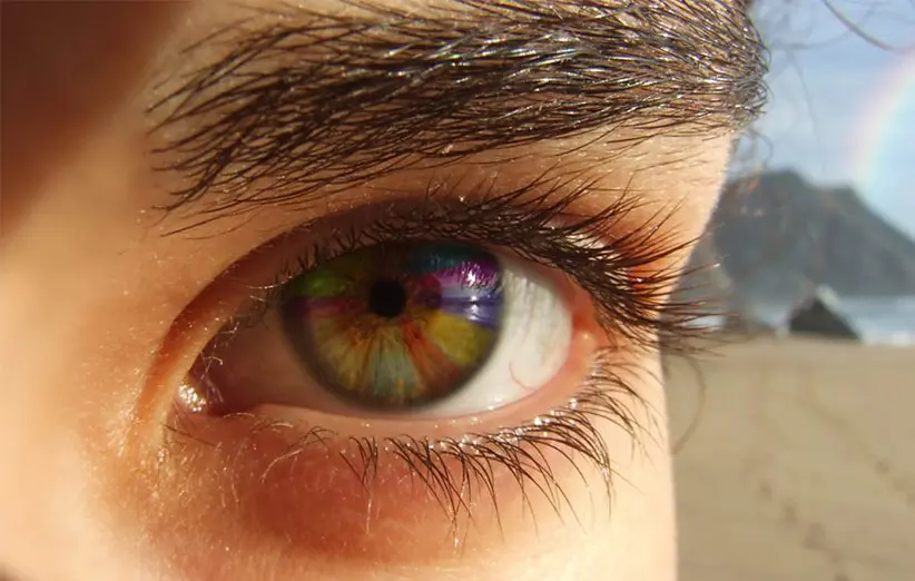 ئەو ژنانەی چاویان لە سەرووی مرۆڤەوەیە