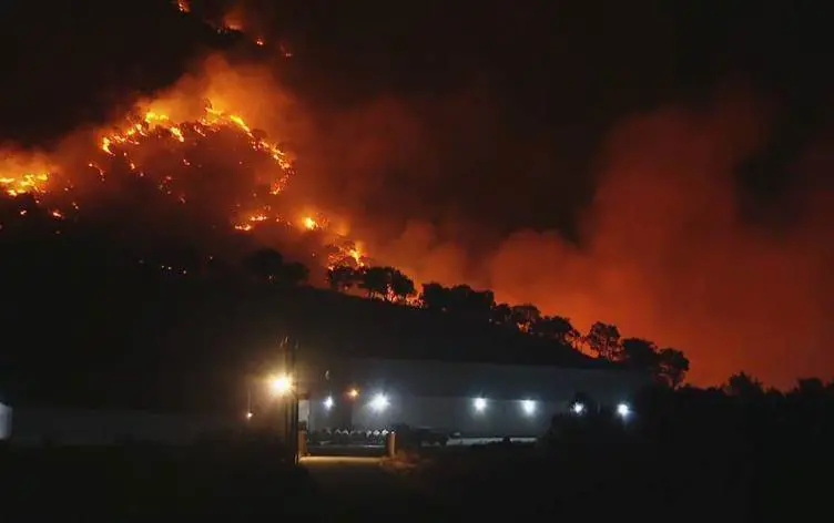 Li Hewlêrê sewata daristanê bi bayê re cardin belav bû