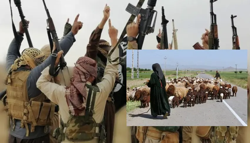 SOHR: Milîsên Dîfa Wetenî pezê ku DAISê dizîbû kiriye û li bazaran difirose