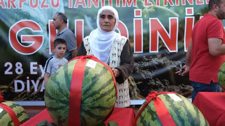 Diyarbakir Karpuz Festivali'nde birinci belli oldu!