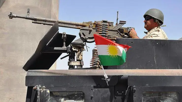 Almanya'dan Pesmerge’ye lojistik destek