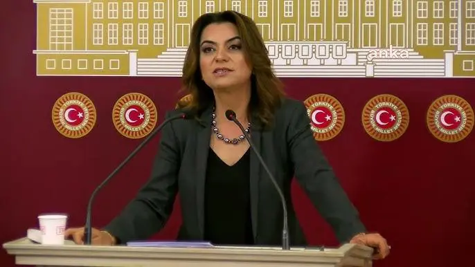 DEM Partili Koçyigit'ten Erdogan açiklamasi