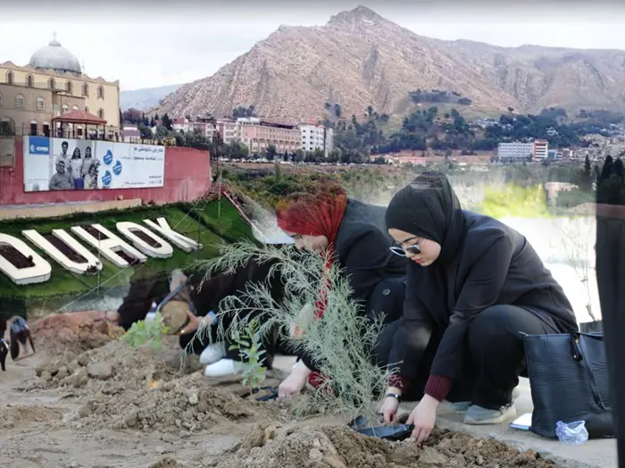 وەبەرھێنانی دھۆک : یەک ملیۆن داری زەیتوون و فستەق دەچێنین