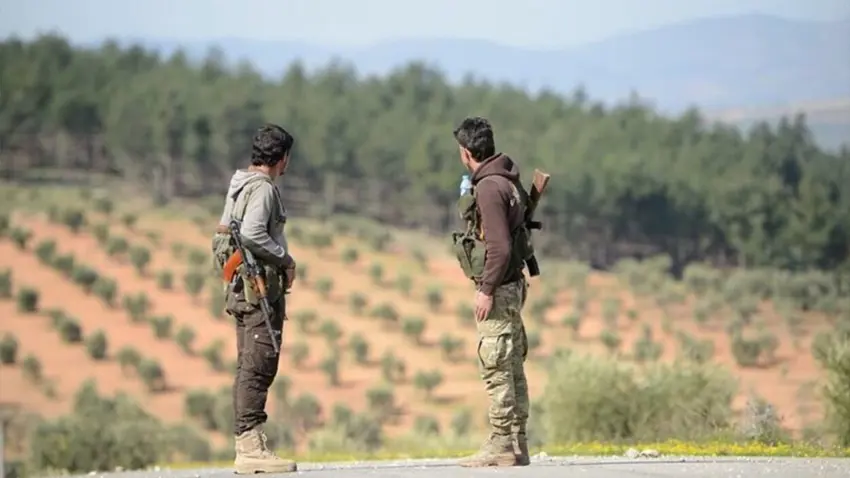 SOHR: Çekdaran dest danîye ser bi hezaran darên zeytûnan û berhema wan