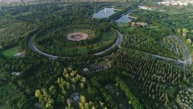 Hewlêr hêşîntir dibe: Di sala 2025an de rekora çandina daran hat şikandin