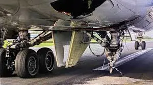 Di besên daketina balafira JetBlue de, 2 cesed hatin dîtin