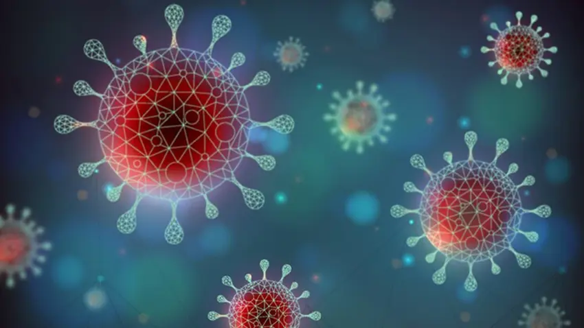 M çiçegi virüsünün yeni varyanti ilk kez 'o ülkede' tespit edildi!