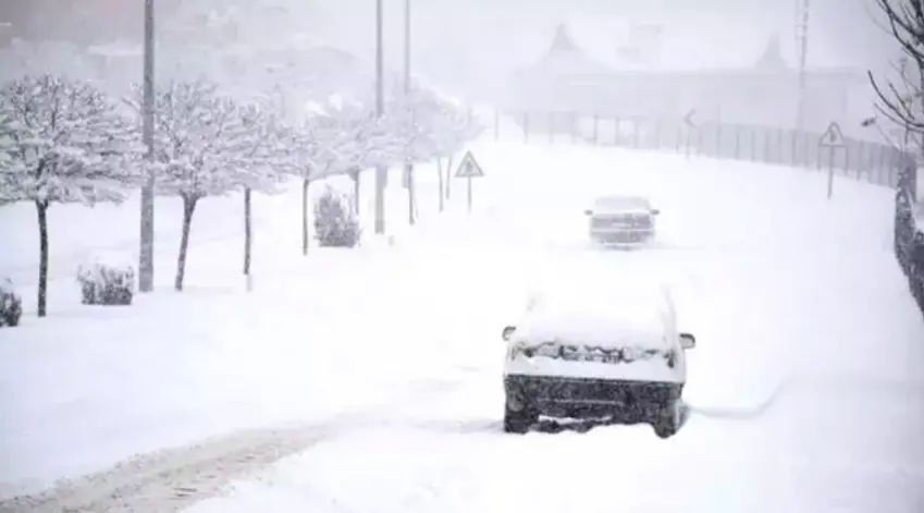 Di navbera Mûs û Çewlikê de 300 kes asê man