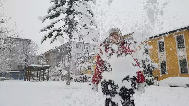 Li 22 bajarên Tirkiyê û Kurdistanê ji ber befê dibistan tatîl kirin