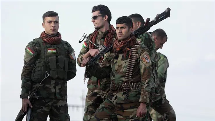 “Gerektigi sürece Pesmergeye yardim edecegiz”