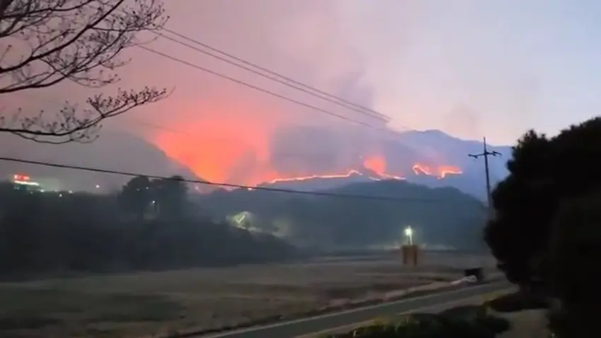 Di sewatên daristanên Kore ya Basûr de 2 kes mirin û 6 kes birîndar bûn