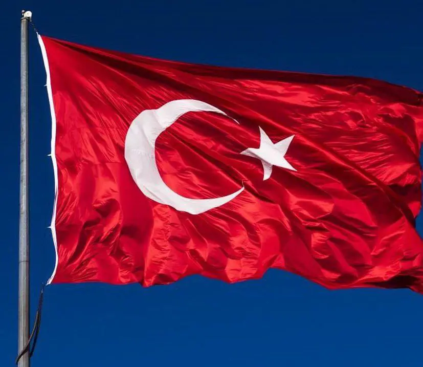 لە ناڕەزایەتییەکانی تورکیا زیاتر لە هەزار و 133 کەس دەستگیرکراون