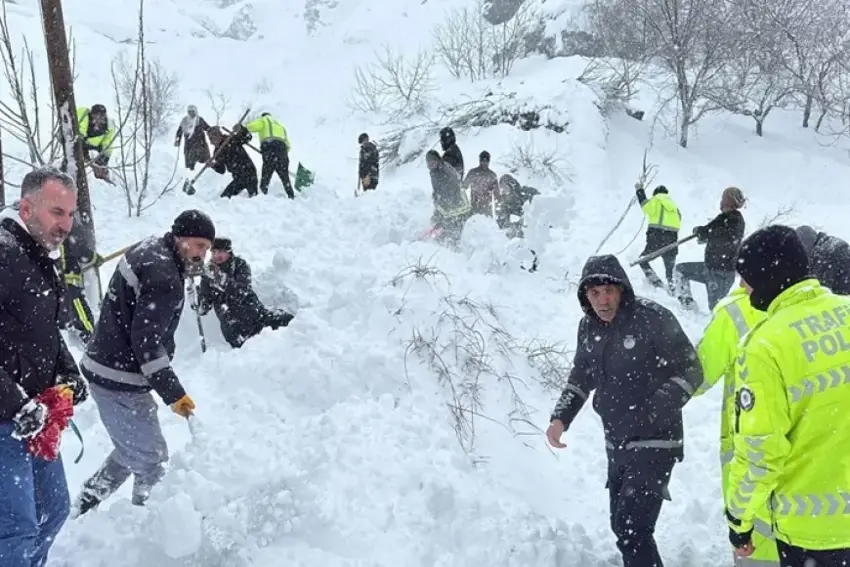 Li Wanê karesata berfê: 22 mal hatin valakirin, kesek winda ye