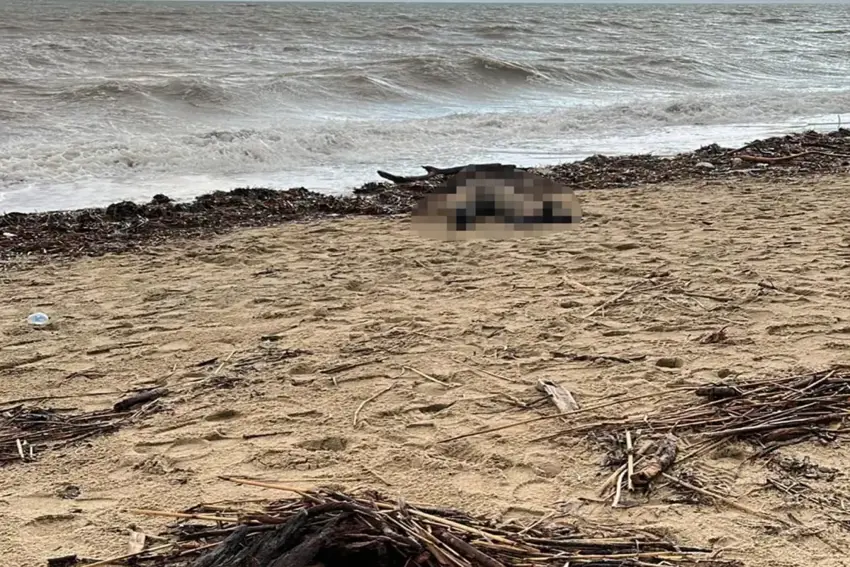 Li peravên bajarê Balıkesîrê cesedê jinekî dîtin