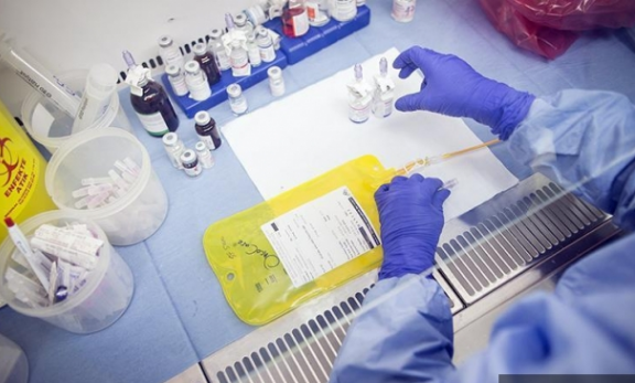 Di labarotuwarê de cara ewil hêkên însana hatin pês de birin