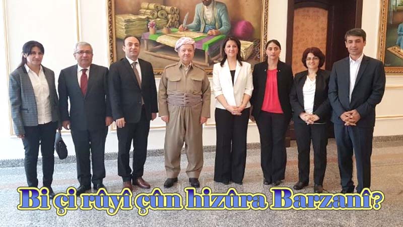 Z. Brîndar nivîsand, HDP kongreya netewî û komplo