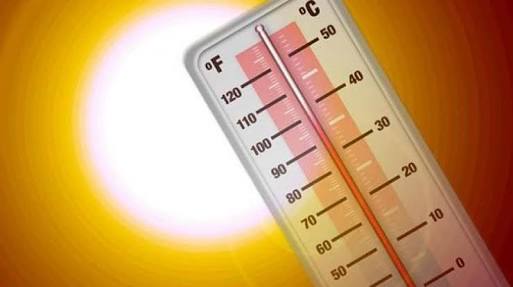 Uzmanlar uyariyor! Yazin bunlari yapmayin ve tüketmeyin...