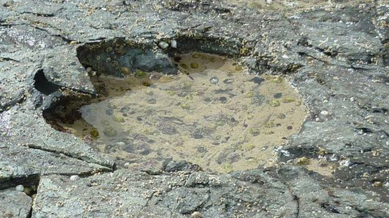 Skye Adasi'nda 170 milyon yil öncesine ait dinozor ayak izi bulundu