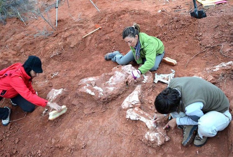 Arjantin'de bulundu: 200 milyon yillik fosil