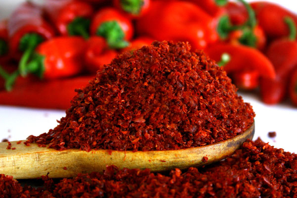 ÃZsota pÃ»l berxwedana bedenÃª xurt dike