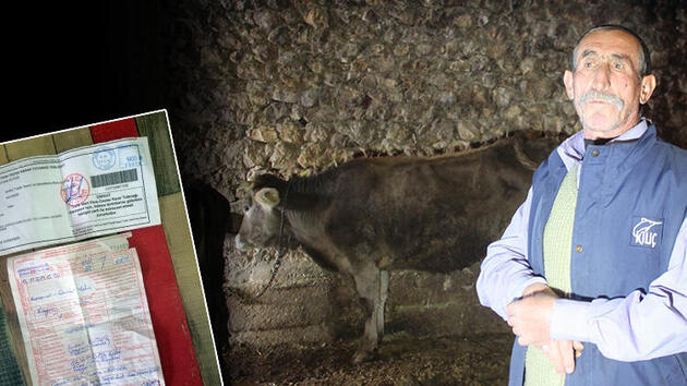 Tirkiye | Ji çêlekê re cezayê trafîkê birîn