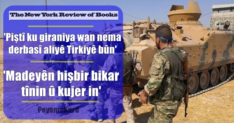 Kovara Amerîkî: Armanca çekdarên girêdayî Tirkiyê tenê dizî û talan e