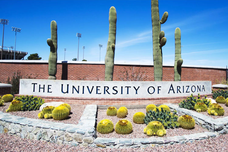 Zanîngeha Arîzona ya Amerîka bi awayê online dersên Kurdî dide