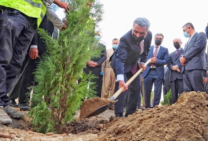 Li 3 taxên Hewlêrê kampanyaya çandina daran hat destpêkirin