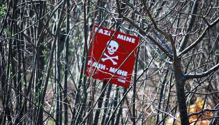 NY: Li cîhanê welatê herî zêde mayîn hatine çandin Iraq e