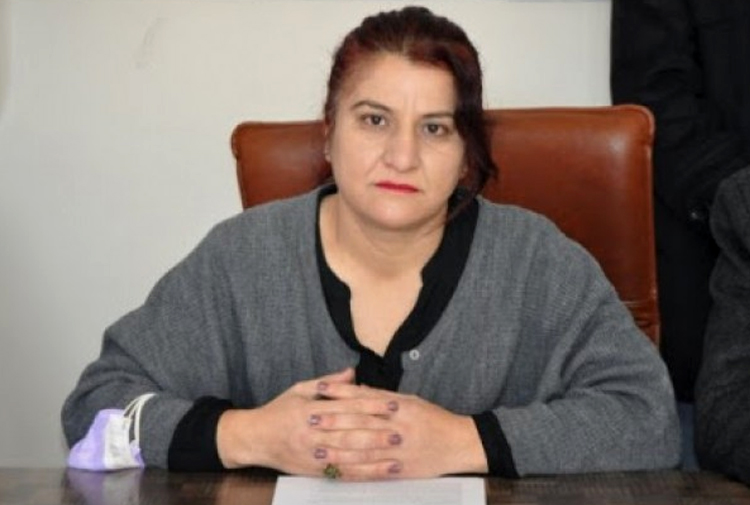 Hevseroka Rêxistina HDPê ya Bajêr a Qersê hat desteserkirin