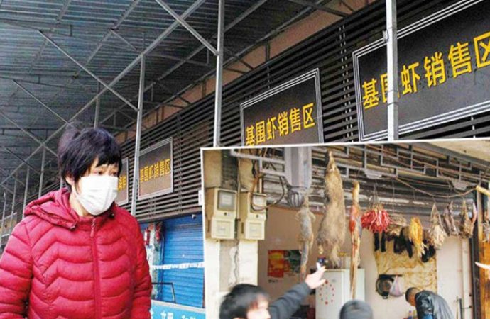 WHOyê 4 senaryoyên jêderka vîrusa koronayê eskere kirin