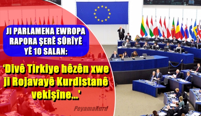 Parlamena Ewropayê Tirkiye wekî dagirker, HSD jî wekî hevpeyman bi nav kir